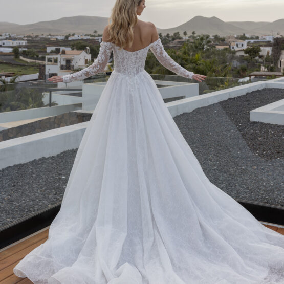 corsage-schleppe-alinie-glitzer-brautkleid